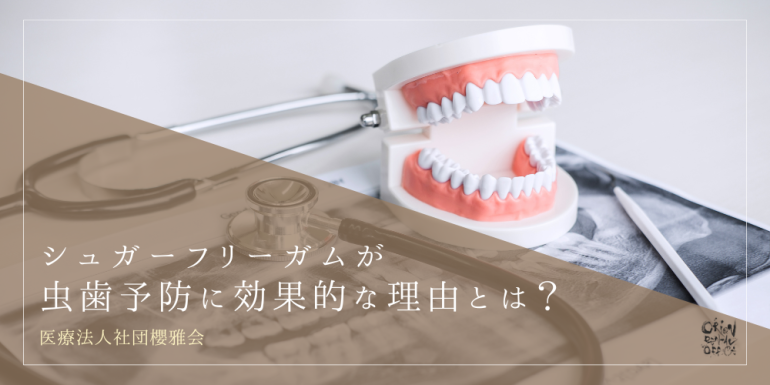 シュガーフリーガムが虫歯予防に効果的な理由