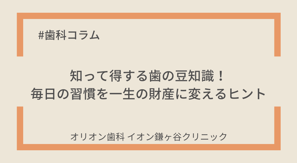 知って得する歯の豆知識!毎日の習慣を一生の財産に変えるヒント